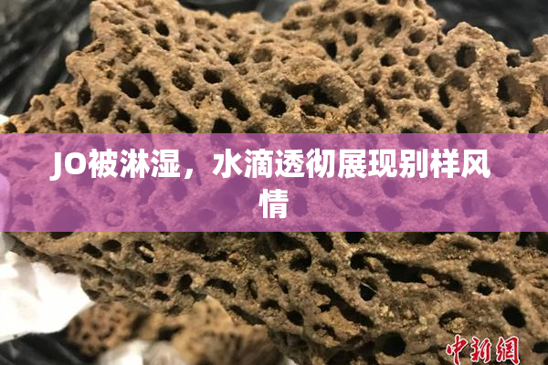 JO被淋湿，水滴透彻展现别样风情