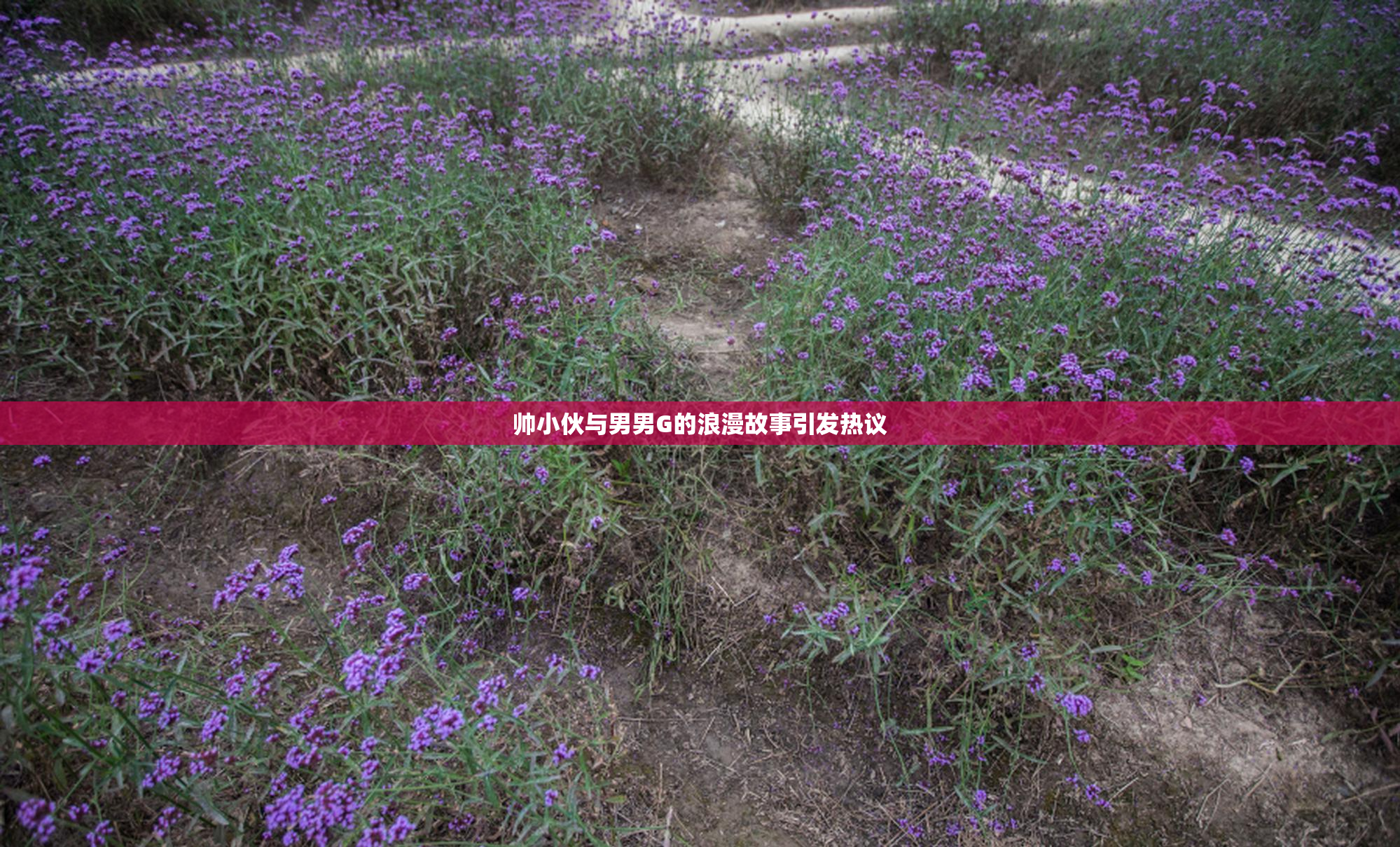 帅小伙与男男G的浪漫故事引发热议