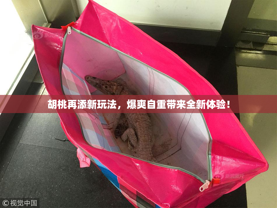 胡桃再添新玩法，爆爽自重带来全新体验！