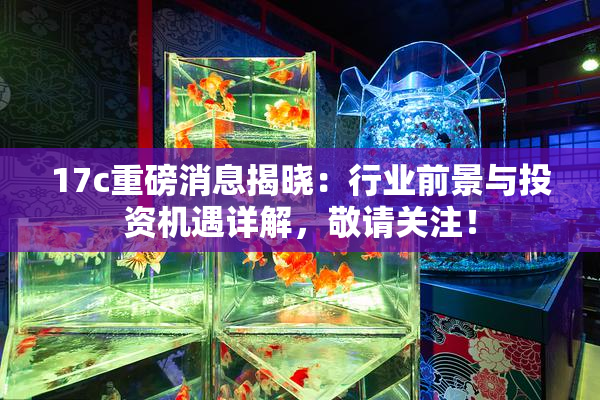 17c重磅消息揭晓：行业前景与投资机遇详解，敬请关注！