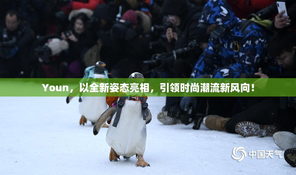 Youn，以全新姿态亮相，引领时尚潮流新风向！
