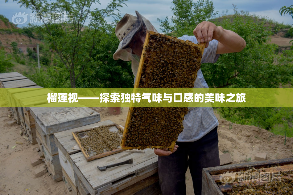 榴莲视——探索独特气味与口感的美味之旅