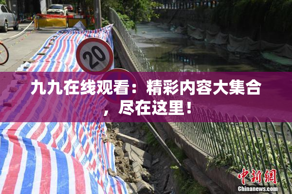九九在线观看：精彩内容大集合，尽在这里！