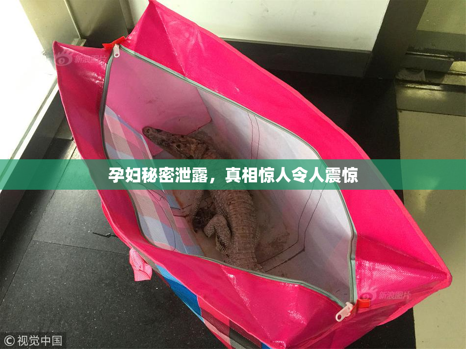 孕妇秘密泄露，真相惊人令人震惊