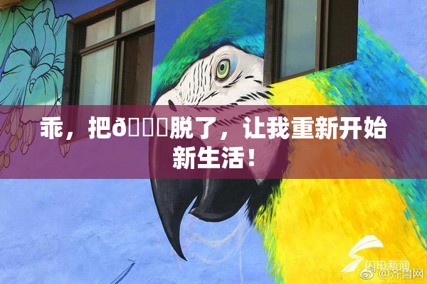 乖，把👙脱了，让我重新开始新生活！