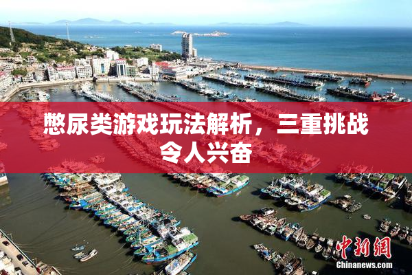 憋尿类游戏玩法解析，三重挑战令人兴奋