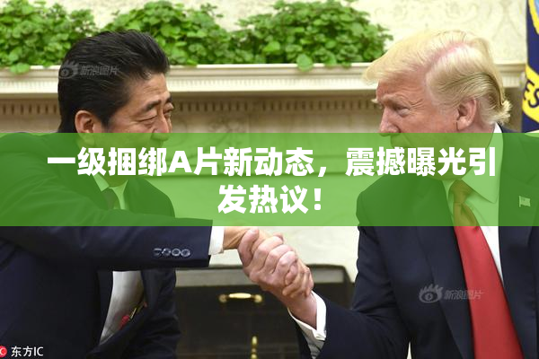 一级捆绑A片新动态，震撼曝光引发热议！