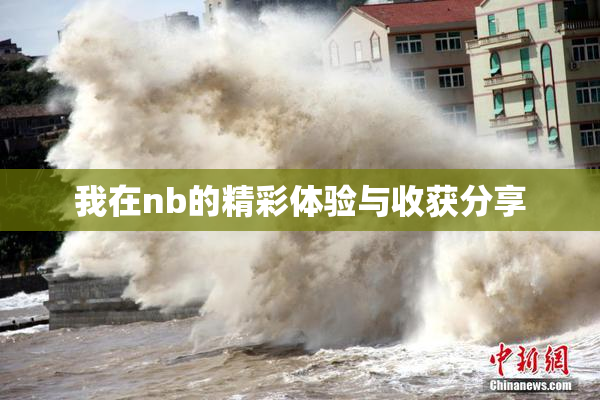我在nb的精彩体验与收获分享