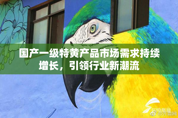 国产一级特黄产品市场需求持续增长，引领行业新潮流
