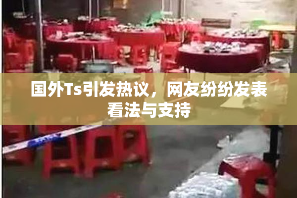 国外Ts引发热议，网友纷纷发表看法与支持