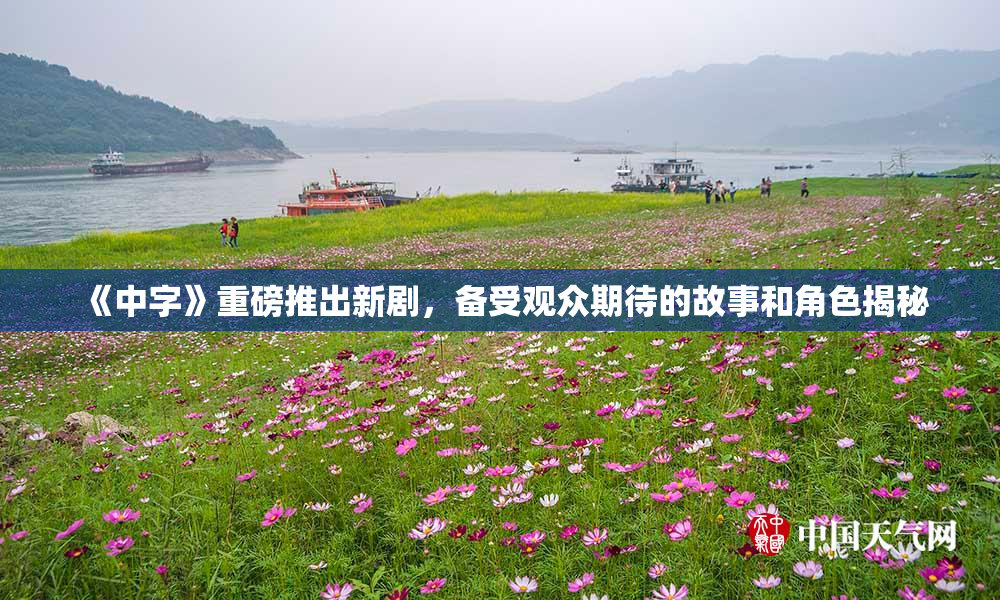 《中字》重磅推出新剧，备受观众期待的故事和角色揭秘