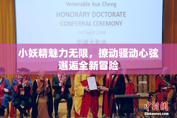 小妖精魅力无限，撩动骚动心弦邂逅全新冒险