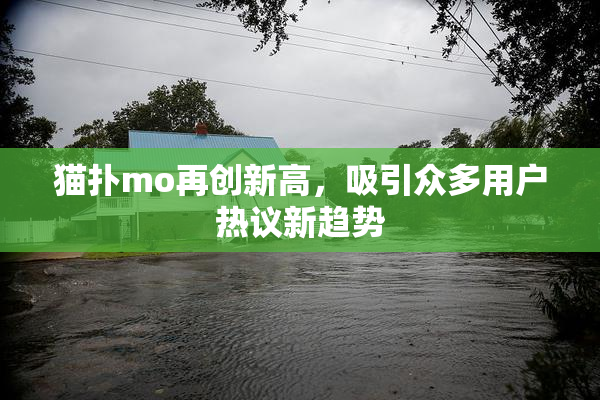 猫扑mo再创新高，吸引众多用户热议新趋势