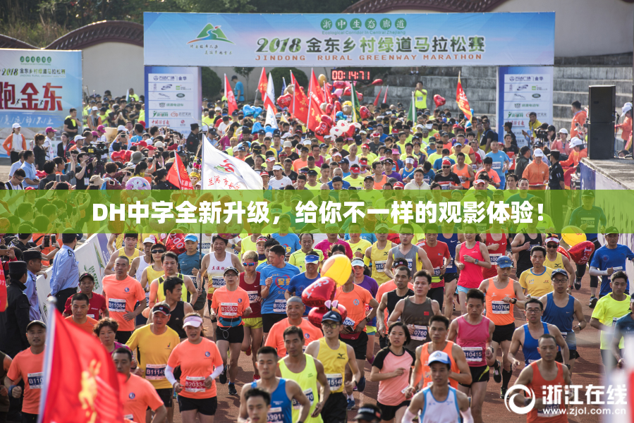 DH中字全新升级，给你不一样的观影体验！