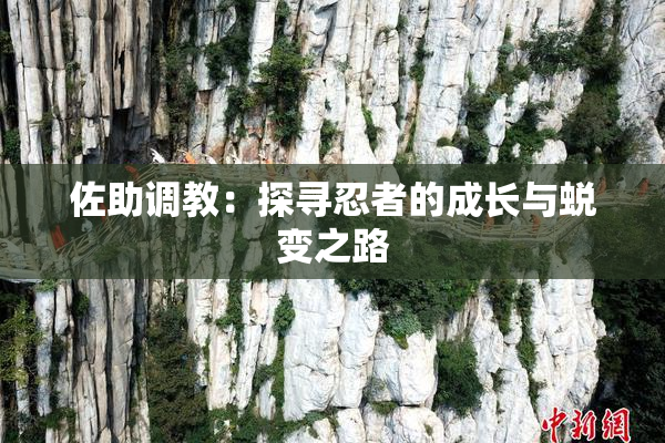 佐助调教：探寻忍者的成长与蜕变之路