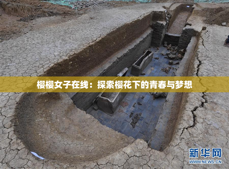樱樱女子在线：探索樱花下的青春与梦想