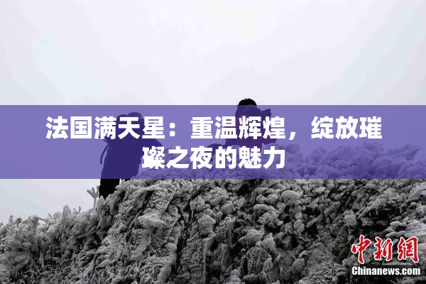 法国满天星：重温辉煌，绽放璀璨之夜的魅力