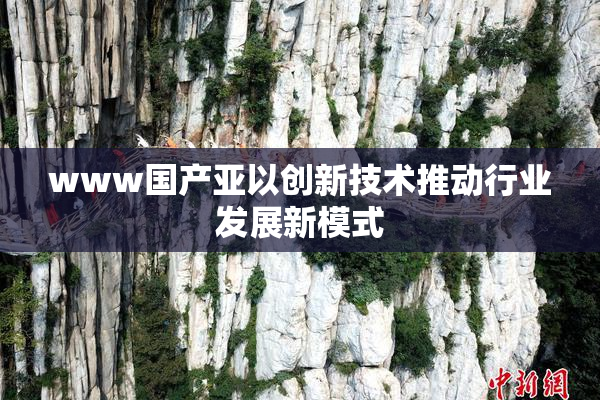www国产亚以创新技术推动行业发展新模式