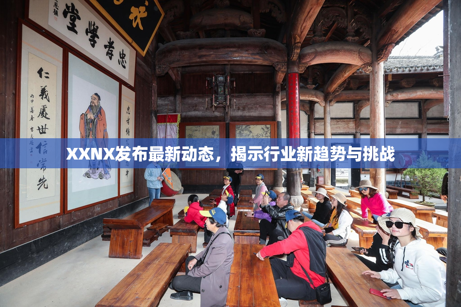 XXNX发布最新动态，揭示行业新趋势与挑战
