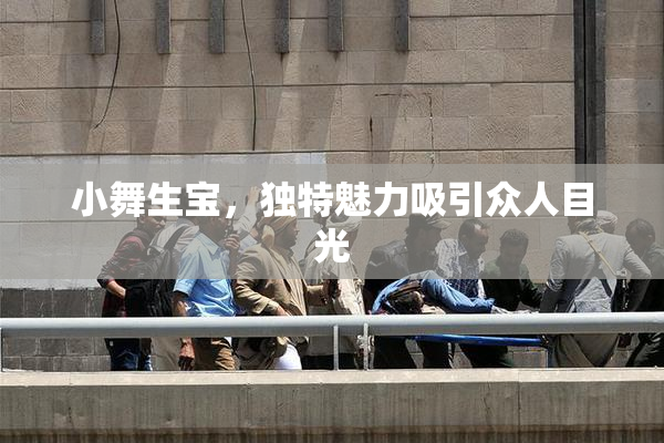 小舞生宝，独特魅力吸引众人目光