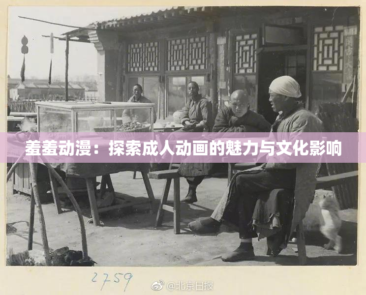 羞羞动漫：探索成人动画的魅力与文化影响