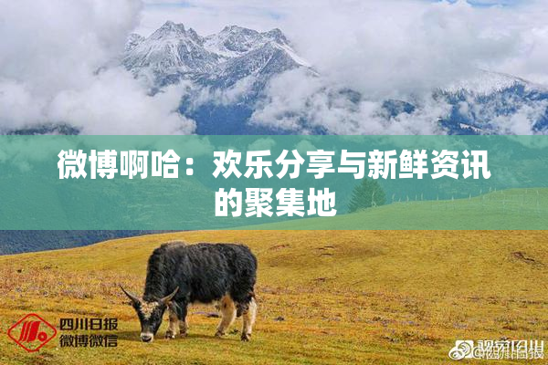 微博啊哈：欢乐分享与新鲜资讯的聚集地