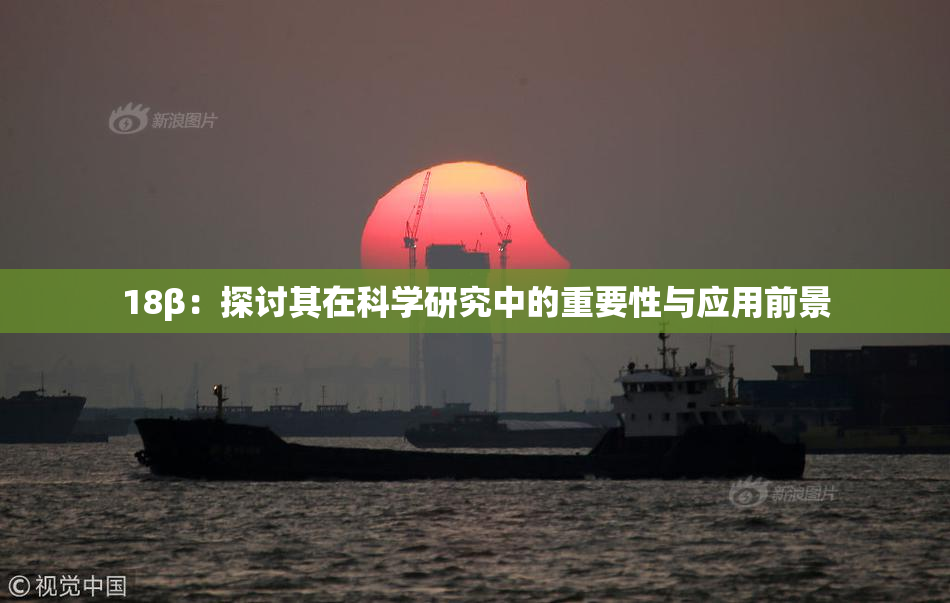 18β：探讨其在科学研究中的重要性与应用前景