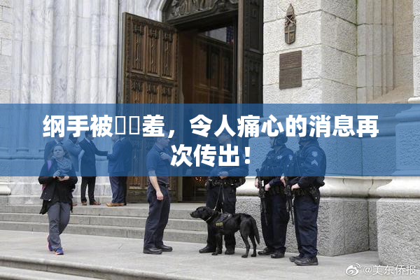 纲手被❌‌羞，令人痛心的消息再次传出！