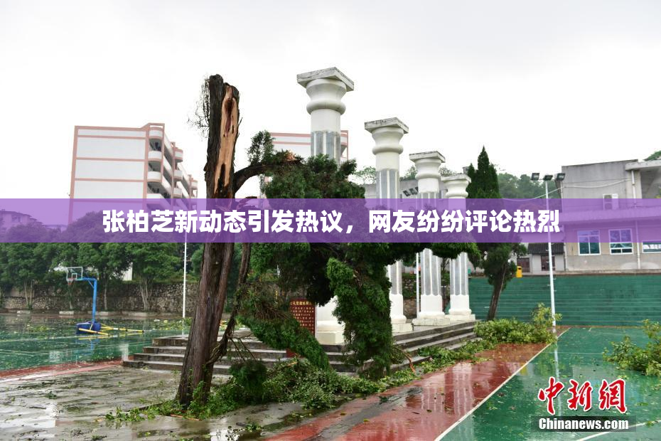 张柏芝新动态引发热议，网友纷纷评论热烈