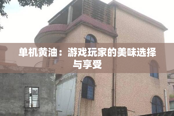 单机黄油：游戏玩家的美味选择与享受