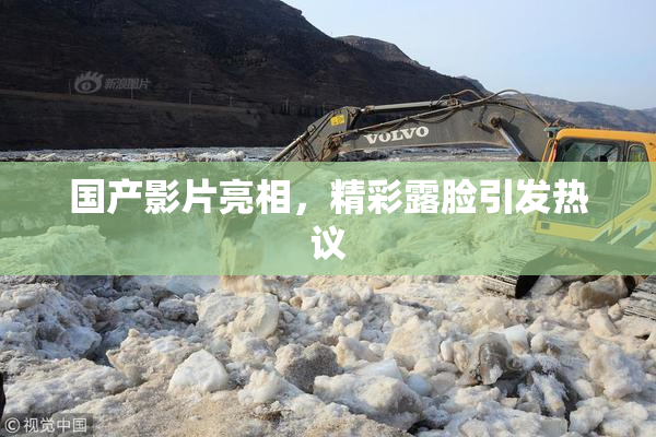 国产影片亮相，精彩露脸引发热议