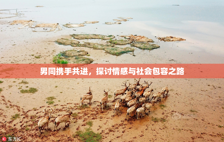 男同携手共进，探讨情感与社会包容之路