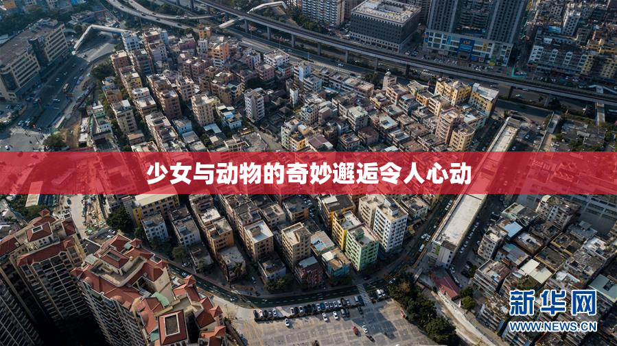 少女与动物的奇妙邂逅令人心动