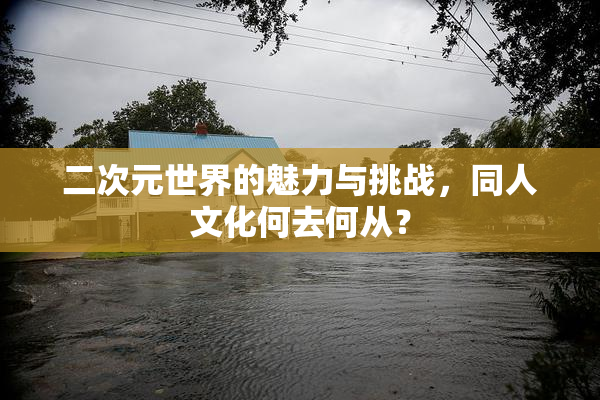 二次元世界的魅力与挑战，同人文化何去何从？