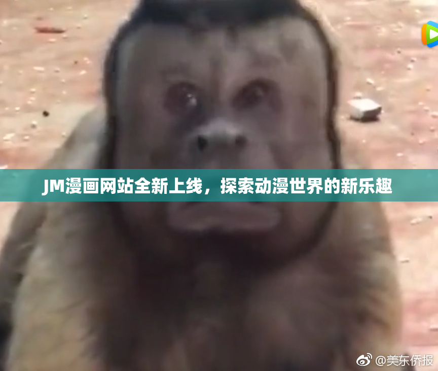 JM漫画网站全新上线，探索动漫世界的新乐趣