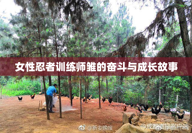 女性忍者训练师雏的奋斗与成长故事