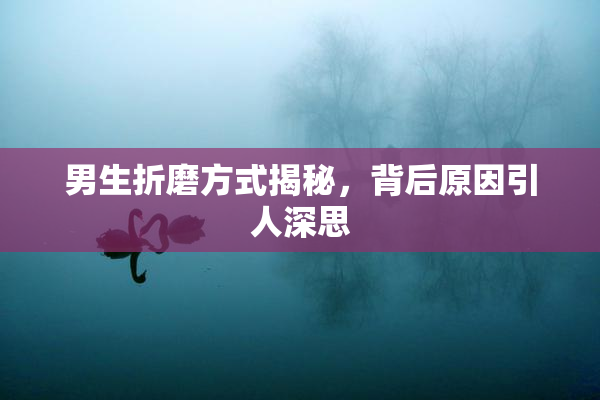 男生折磨方式揭秘，背后原因引人深思