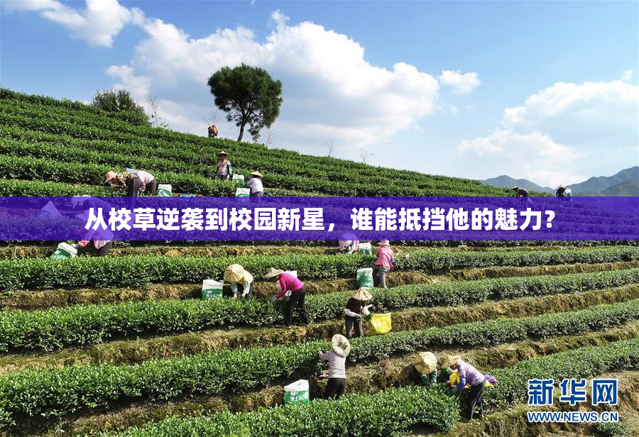 从校草逆袭到校园新星，谁能抵挡他的魅力？