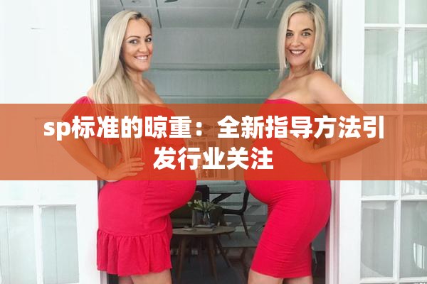 sp标准的晾重：全新指导方法引发行业关注