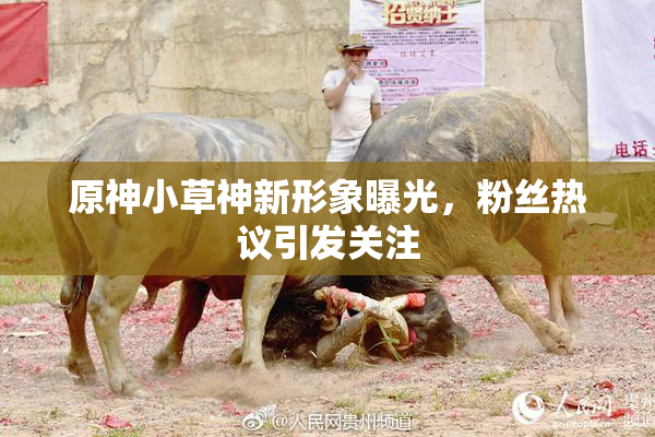 原神小草神新形象曝光，粉丝热议引发关注