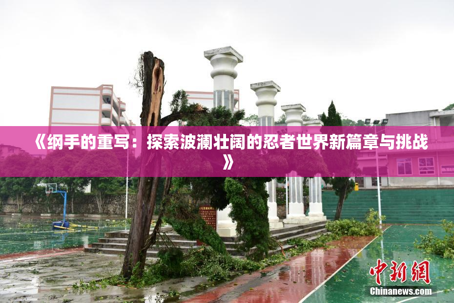 《纲手的重写：探索波澜壮阔的忍者世界新篇章与挑战》