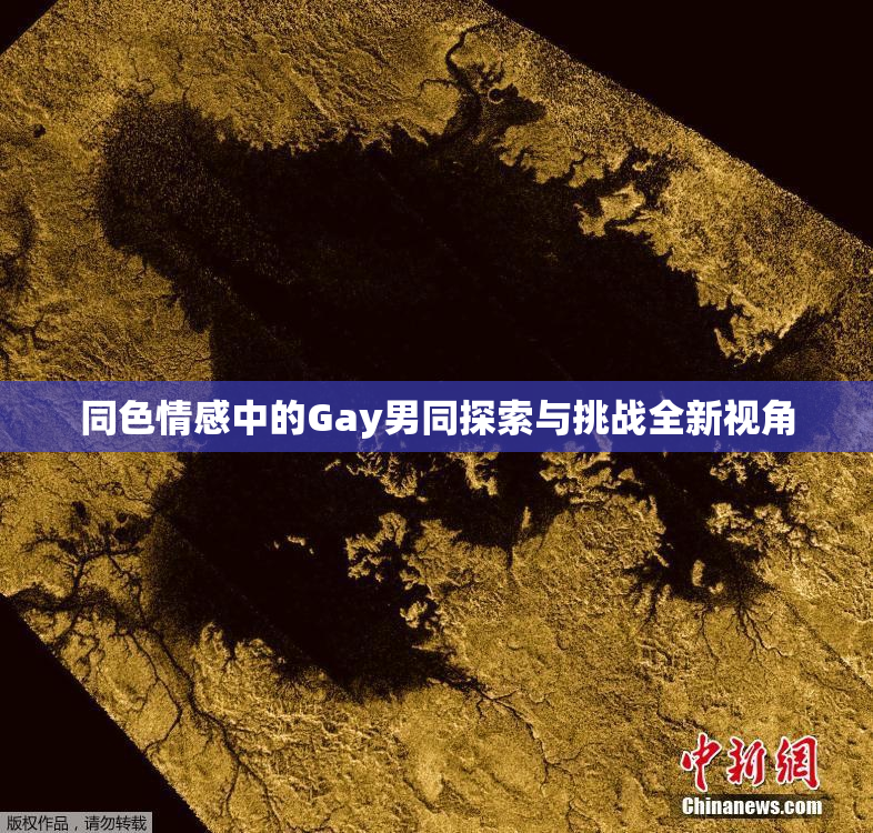 同色情感中的Gay男同探索与挑战全新视角
