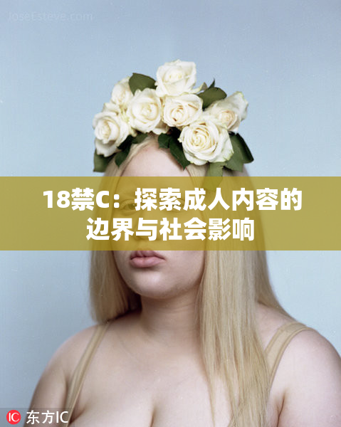 18禁C：探索成人内容的边界与社会影响
