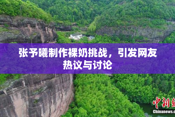 张予曦制作裸奶挑战，引发网友热议与讨论