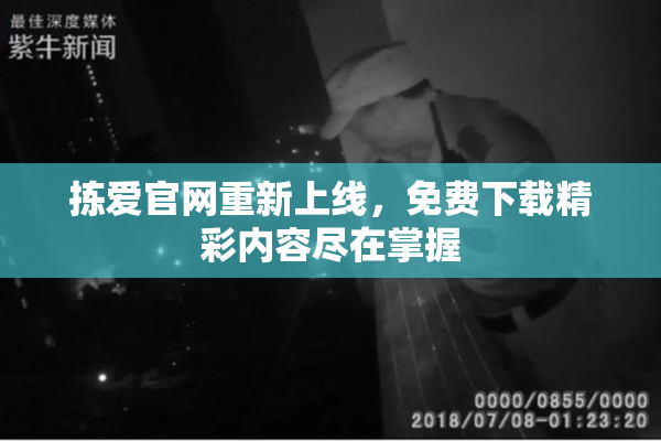 拣爱官网重新上线，免费下载精彩内容尽在掌握