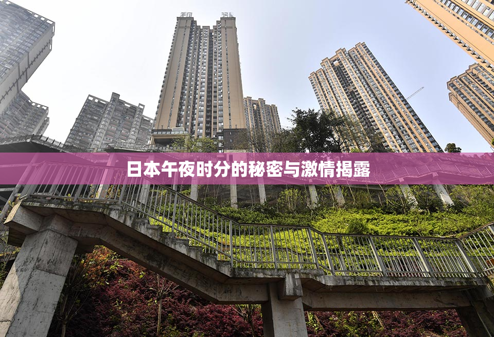 日本午夜时分的秘密与激情揭露