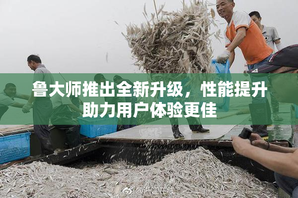 鲁大师推出全新升级，性能提升助力用户体验更佳