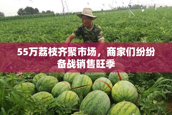 55万荔枝齐聚市场，商家们纷纷备战销售旺季
