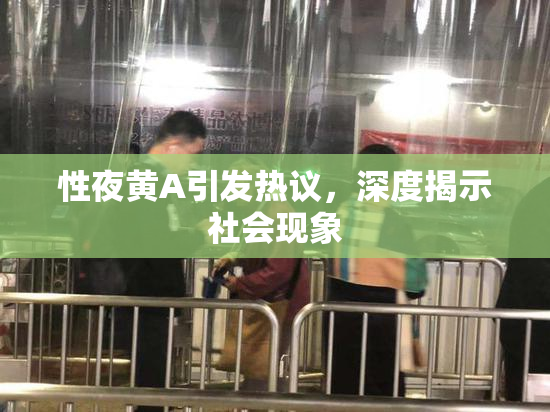 性夜黄A引发热议，深度揭示社会现象