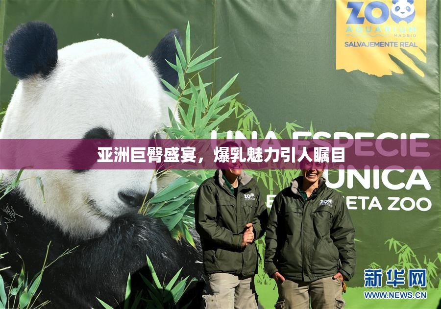 亚洲巨臀盛宴，爆乳魅力引人瞩目